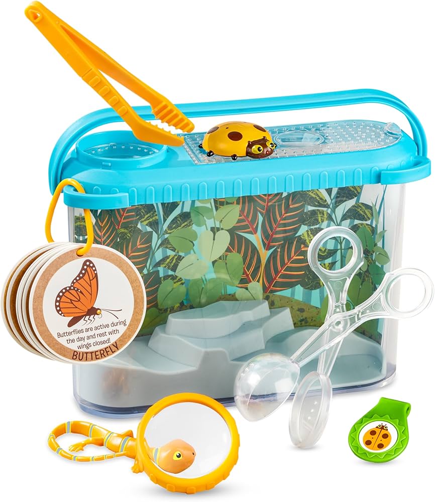 Amazon.com: Melissa & Doug Let's Explore Terrarium Observations